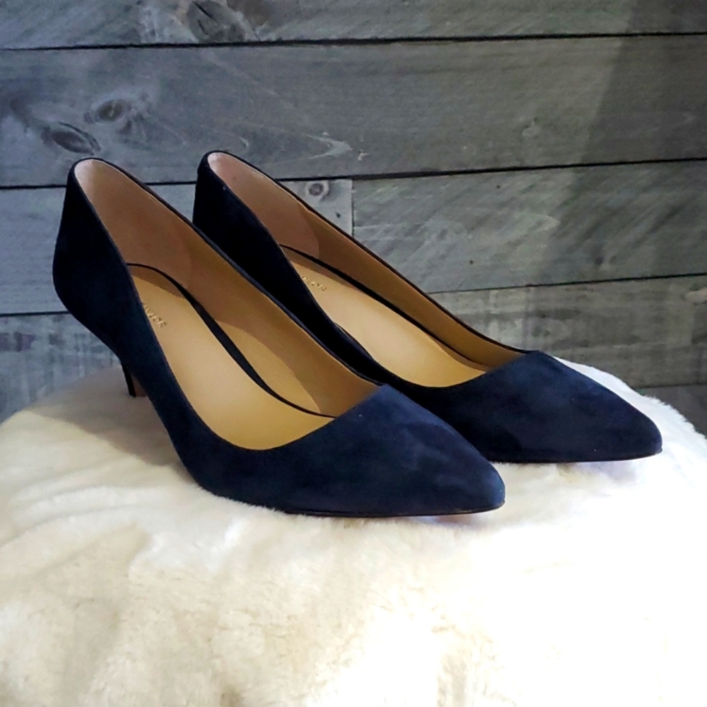 ANN TAYLOR BLUE SUEDE KITTEN HEELS